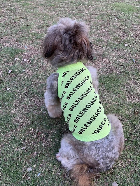 Pawlenciaga Doggo Sweater