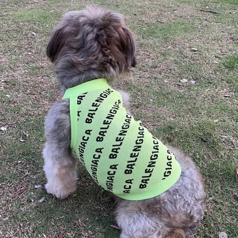 Pawlenciaga Doggo Sweater