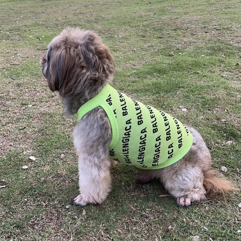 Pawlenciaga Doggo Sweater