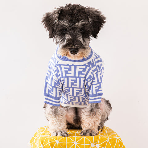 FF Trendy Doggo Sweater