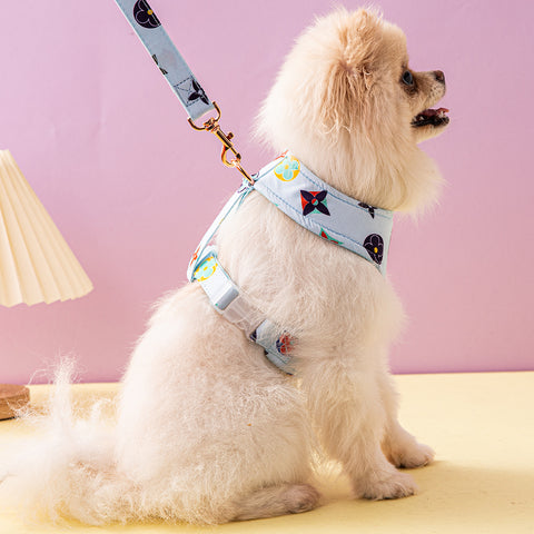 Luxury Designer Pet Harness & Leash Set