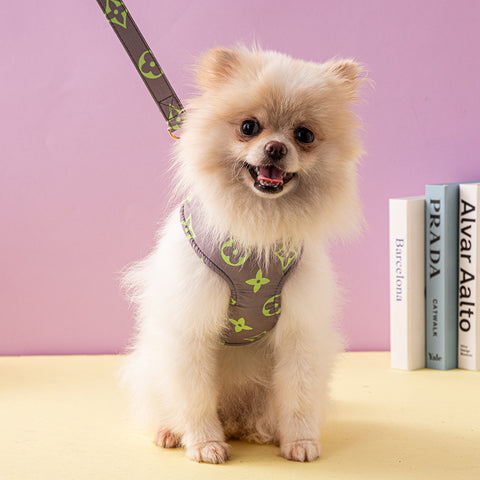 Luxury Designer Pet Harness & Leash Set