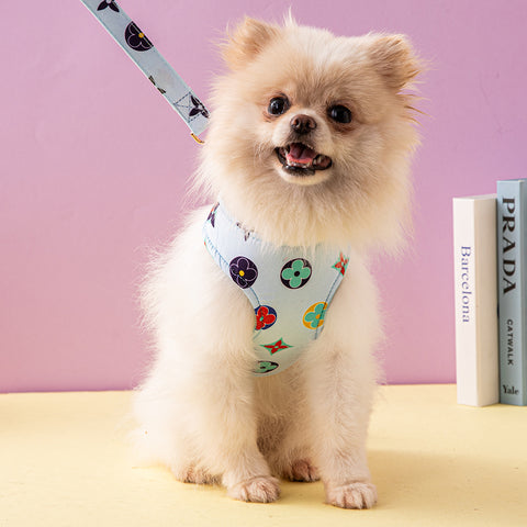 Luxury Designer Pet Harness & Leash Set