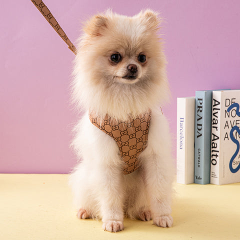 Luxury Pet Harness & Leash Set