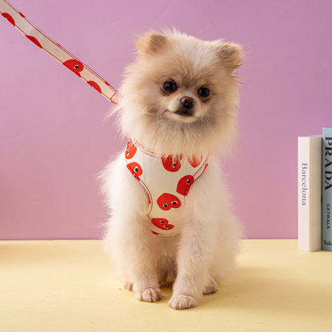 Playful Heart Pet Harness & Leash Set