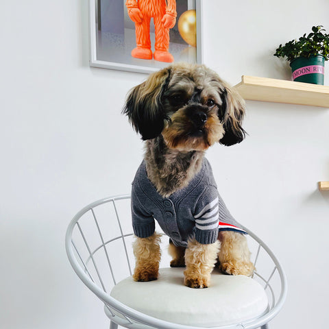 Doggo Luxe Grey Sweater