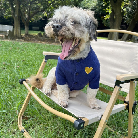 Doggo Amour Heart Sweater