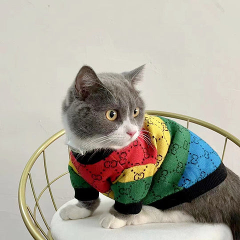 GG Rainbow Doggo Sweater