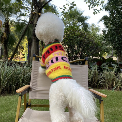 Cozy GG Vibrant Doggo Sweater