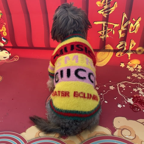 Cozy GG Vibrant Doggo Sweater