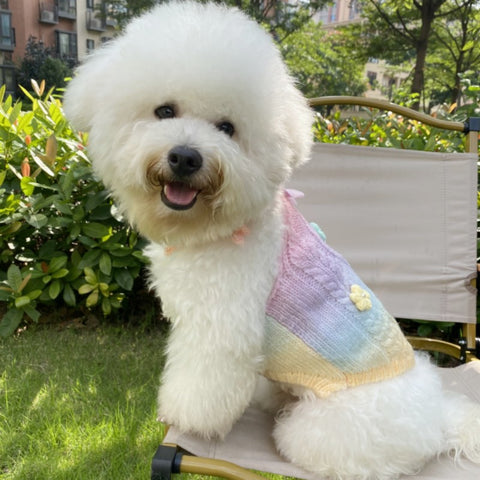 Fleur Couture Doggo Sweater
