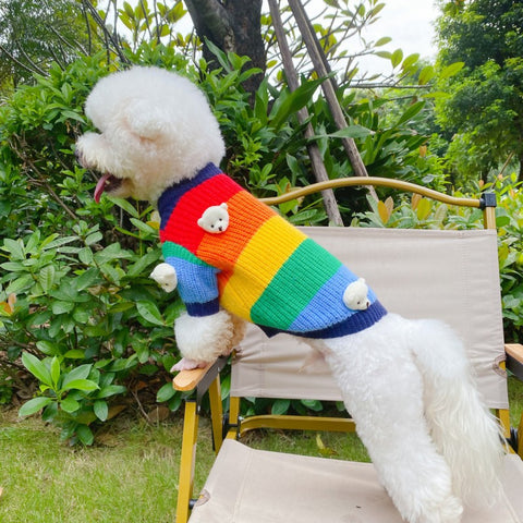 The Vibrant Doggo Sweater