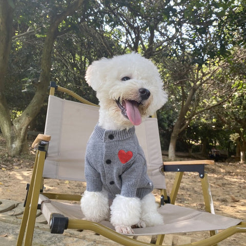 Doggo Amour Heart Sweater