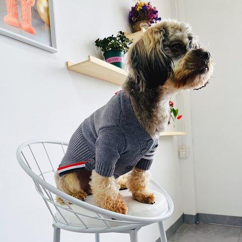 Doggo Luxe Grey Sweater
