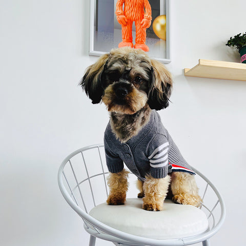 Doggo Luxe Grey Sweater