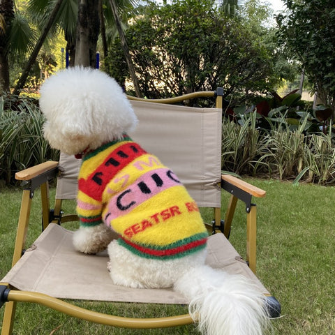 Cozy GG Vibrant Doggo Sweater