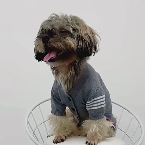 Doggo Luxe Grey Sweater